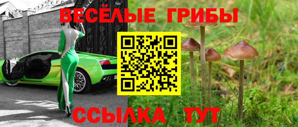 Галлюциногенные грибы мицелий Смоленск