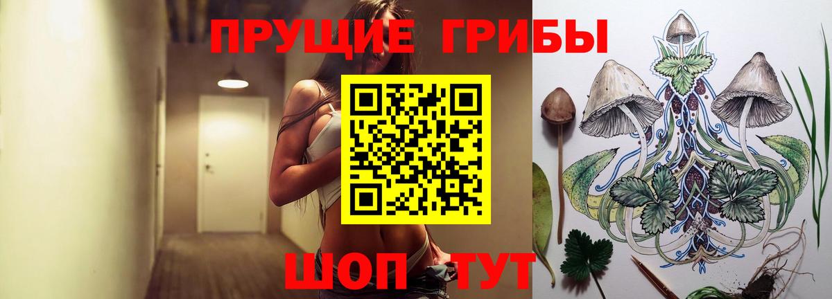 Смоленск  Галлюциногенные грибы Psilocybe  Псилоцибиновые грибы Psilocybe  Вход с VPN 